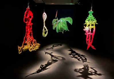brightly coloured sculptures suspended from ceiling in dark room. Artist Caroline Rothwell