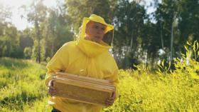 The Artist's Way self-protection. image is a man in a yellow bee keeper's costume carrying an insert from a hive.