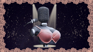 Image is an armless bust with a microphone for a head and a full pink bra.