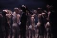 momenta. Around a dozen dancers on a dark stage wear tight leotards, and tights in muted tones of beige or grey. Their bodies are turned to the back but their heads look back towards the camera with their left hand touching their cheek as if showing their faces to the light.