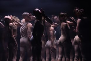 momenta. Around a dozen dancers on a dark stage wear tight leotards, and tights in muted tones of beige or grey. Their bodies are turned to the back but their heads look back towards the camera with their left hand touching their cheek as if showing their faces to the light.