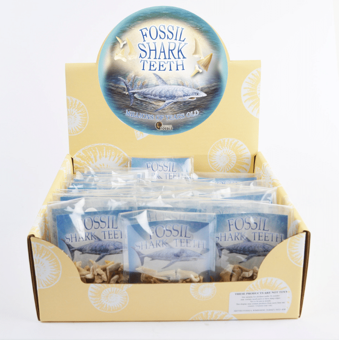 gallery gift shop. cardboard display box holding multiple small blue bags with 'fossil shark teeth' written on them