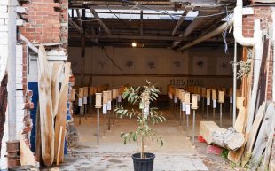 Installation view of ‘100 Circles’ presented by Revival Projects on display from 23 May – 26 May at Warehouse 2 Revival Projects in Melbourne Design Week 2024. Photo: Tim Carrafa. A run-down brick house shown from the entry way with 100 timbre urns inside.