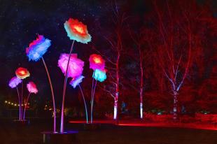Giant peonies are lit up against a dark sky.