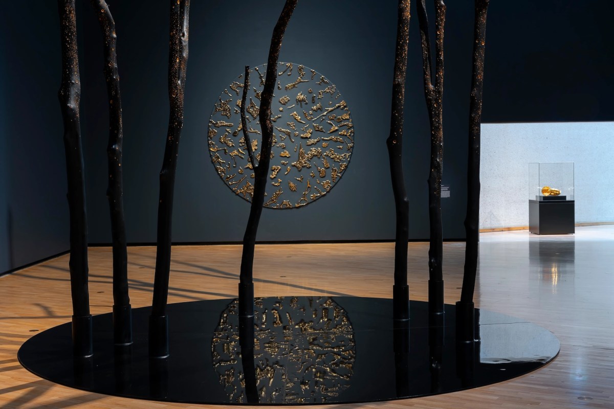 Exhibition of artworks in a darkened gallery of trees and sculpture. Lindy Lee