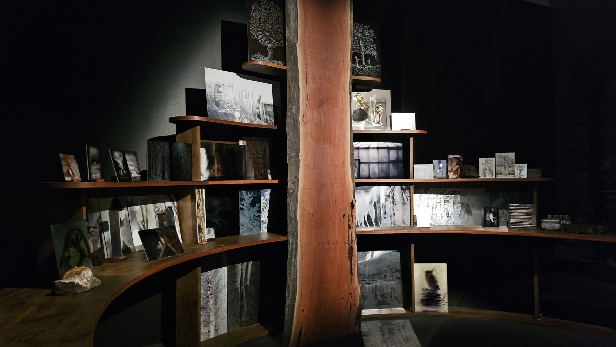 ‘Environmental Futures’ at Museum of Australian Photography. A photographic installation under dim lighting, with shelves of photographic material depicting nature and a split tree trunk running through the structure.