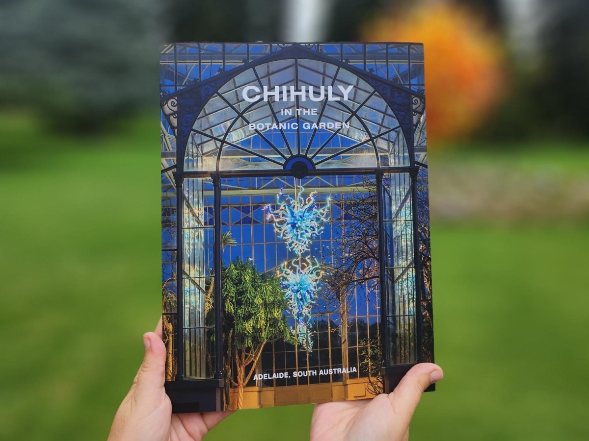 Hand holding book in outdoor setting, with blue cover and illuminated glass art. art books