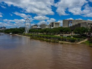 A brown river is flooding under arts buildings and a ferris wheel. Cyclone Alfred.