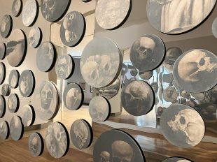 Paintings of skulls on discs set against a wall.