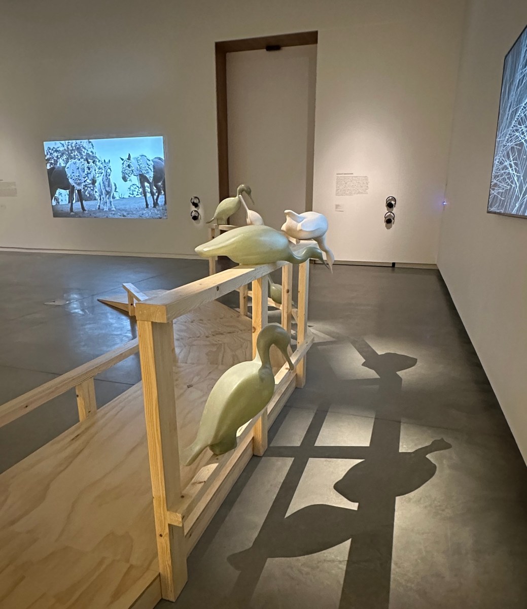 Exhibition installation with bird sculpture in front with nice shadows, and video behind with horses. Bundanon