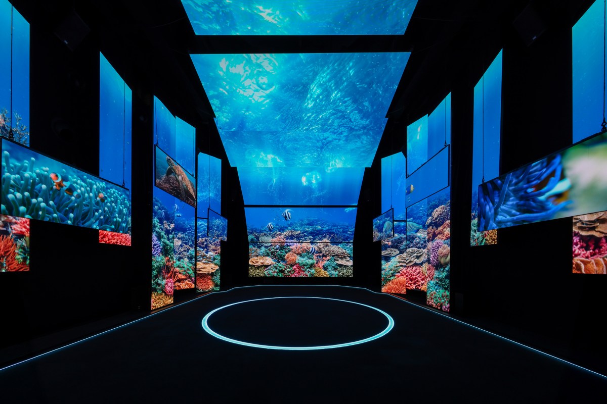 Exhibition of multi screen projections of underwater with fish and coral. World Expo 2025