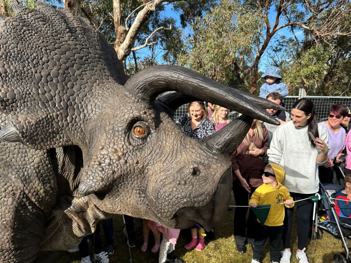 A small crowd of people are surrounding a model of a triceratop.