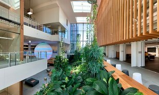 QUT is reviewing its suits of performing arts courses, housed at its Kelvin Grove campus, after experiencing a massive decline in enrolments. Image: Wikimedia.