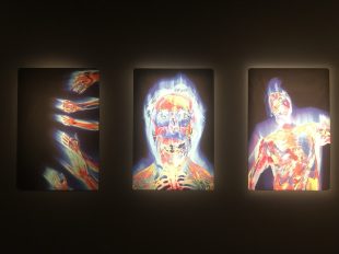 Three panels featuring skeletons rendered in colour.