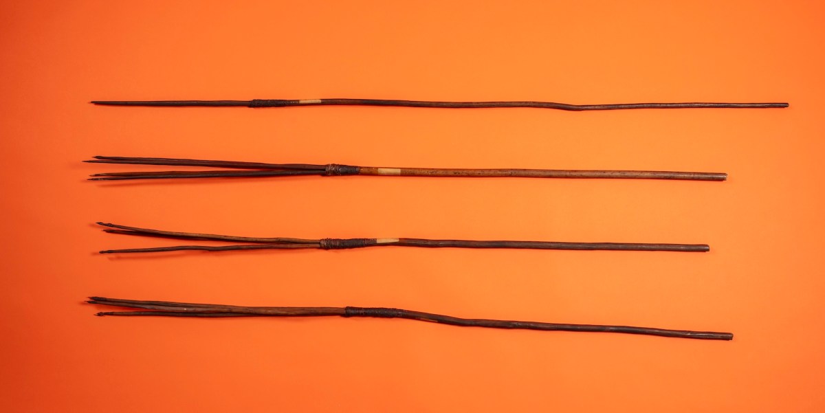 Four tribal spears on orange background. Chau Chak Wing Museum