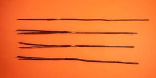 Four tribal spears on orange background. Chau Chak Wing Museum