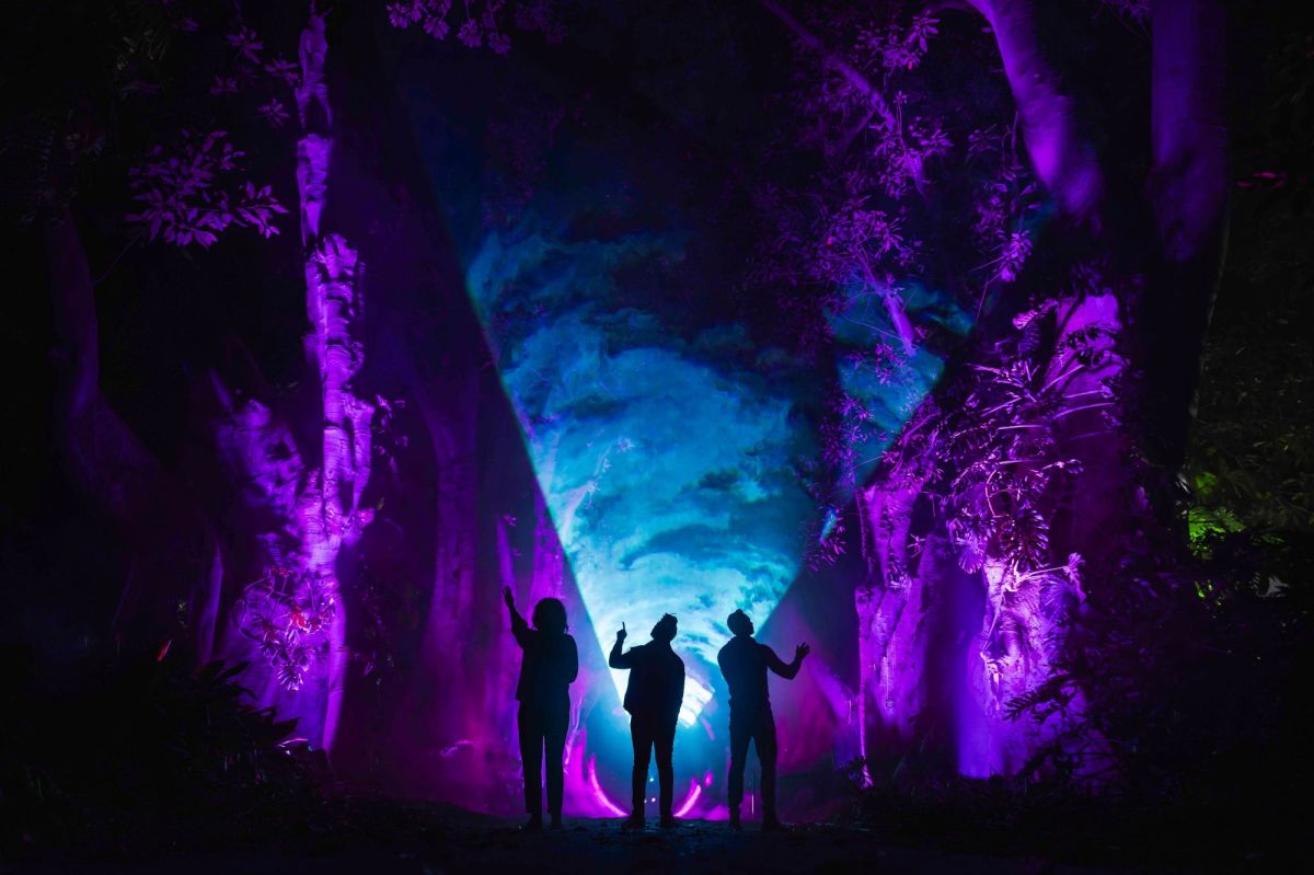 'Night Visions' promotional image.