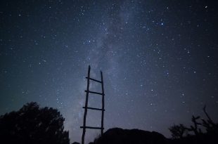 Career ladders are extinct for creative artists. Image: Mike Lewinski for Unsplash