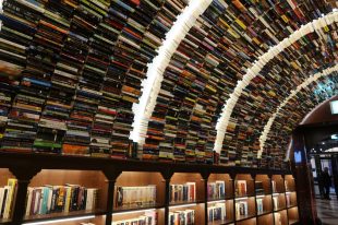 A bookshop/libary with books also shelved in overhead arches.