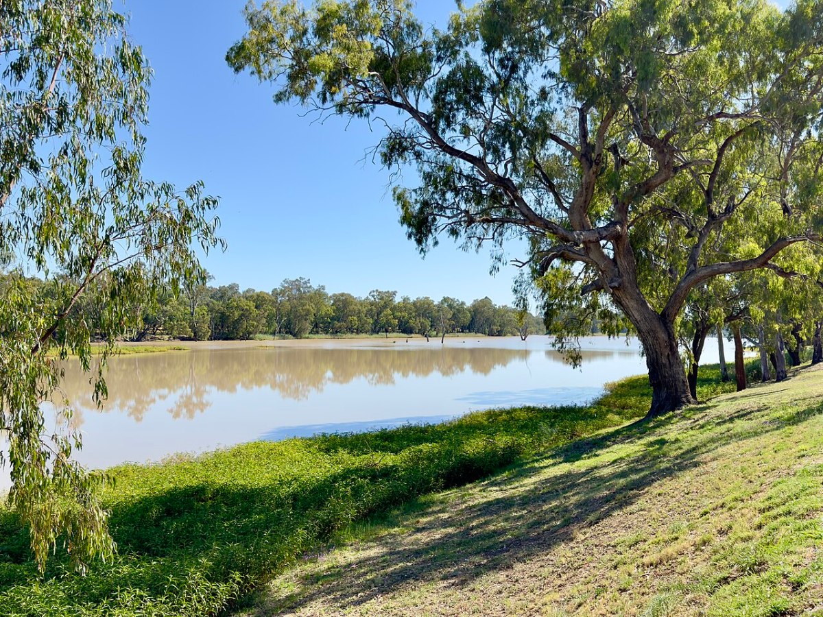 The mighty Balonne Rive at St George, Queensland, connects a string of remote towns that are buzzing with regional arts.