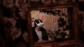 'The Door in Question' is part of Sleepless Footscray Festival. A moody and atmospheric photograph of a person wearing a white VR headset; they are framed by a window, making us feel almost voyeuristic as we look at them. Behind the seated figure are sheets of paper stuck on the wall, including old pages and photographs from a book.