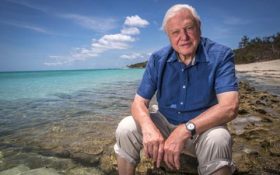 An elderly, fair-skinned man with white hair, and wearing a blue shirt, sits with his trousers rolled up to his knees on the rocky edge of a beach. The ocean, the beach, bushland and the sky are visible behind him. The photo depicts the influential naturalist and broadcaster, Sir David Attenborough.
