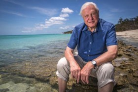 An elderly, fair-skinned man with white hair, and wearing a blue shirt, sits with his trousers rolled up to his knees on the rocky edge of a beach. The ocean, the beach, bushland and the sky are visible behind him. The photo depicts the influential naturalist and broadcaster, Sir David Attenborough.