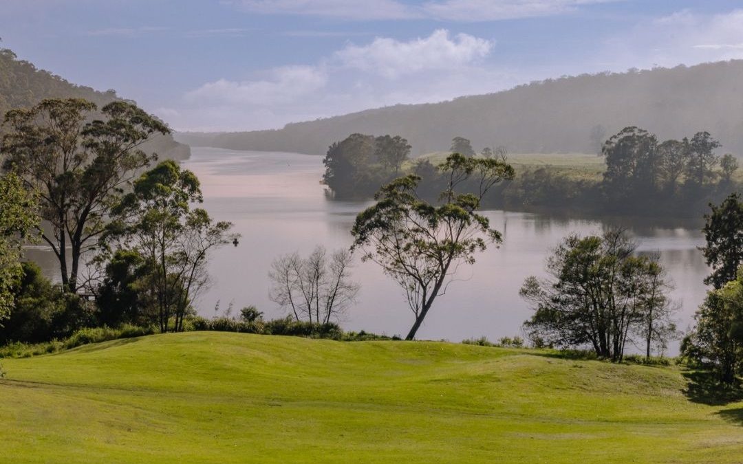 A view of a regional landscape with foggy hills in the distance, a large body of water, trees and green grass.