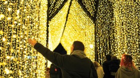A cathedral made of yellow lights, with rugged up people looking up at it and walking through, with one woman holding her left arm out towards the lights. Bendigo Electric Wonderland