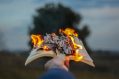 A hand holding a burning book away from the camera towards a tree.