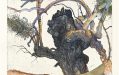 A intricate and detailed drawing of the trunk of a gum tree with blue, green, purple and red tones.