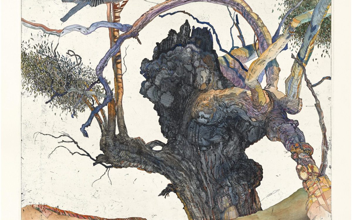 A intricate and detailed drawing of the trunk of a gum tree with blue, green, purple and red tones.
