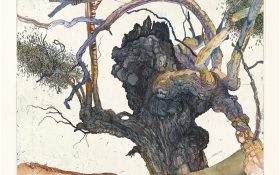 A intricate and detailed drawing of the trunk of a gum tree with blue, green, purple and red tones.