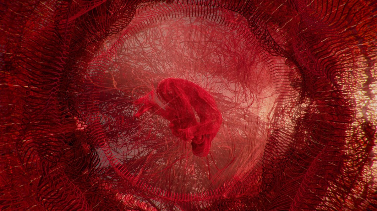 A woven red, embtyonic figure floats in a womb of red wool: an image from the the Sunshine Coast's Experimenta exhibition.