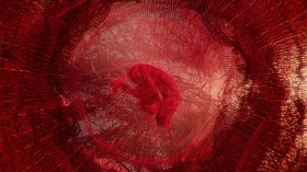 A woven red, embtyonic figure floats in a womb of red wool: an image from the the Sunshine Coast's Experimenta exhibition.