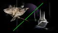 A still from Andrew Burrell's single channel video 'Miner’s Journey' as featured in 'North Terrace: worlds in relief' at Samstag Museum of Art, Tarntanya/Adelaide. An artistic image featuring a stylised digital depiction of a bird, its wings opening as if readying itself to fly, perched on a digital twig. A vivid, thin green line bisects the image, running horizontally from lower left to upper right.