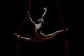 A male acrobat performs the splits, his body held aloft by aerial straps, in a scene from 'La Clique' at Adelaide Cabaret Festival.
