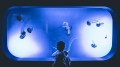 A kid looking at a tank full of jelly fish. The tank is lit up with indigo light.