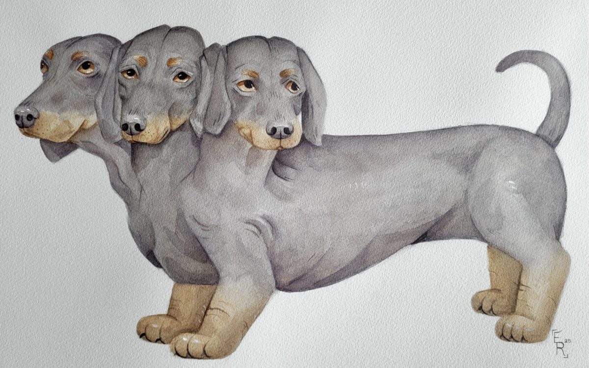 A drawing of a three-headed dachshund. Free exhibitions in Adelaide.