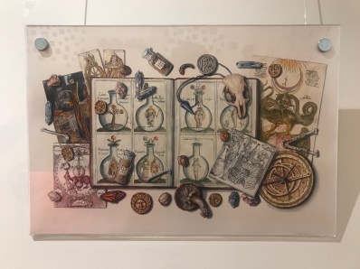 Martha Iserman, The Alchemist. Flora, Fauna and Folklore. Image supplied.