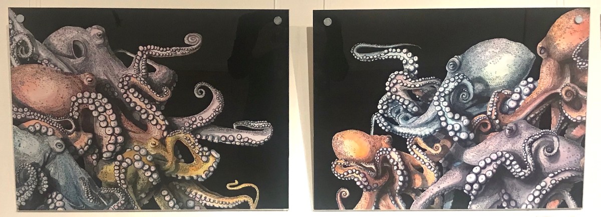 Martha Iserman, Left Octopus and Right Octopus. Flora, Fauna and Folklore. Image supplied.