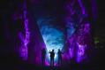two people are standing in purple light that's been projected onto trees.