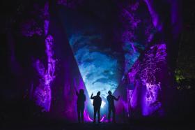 two people are standing in purple light that's been projected onto trees.