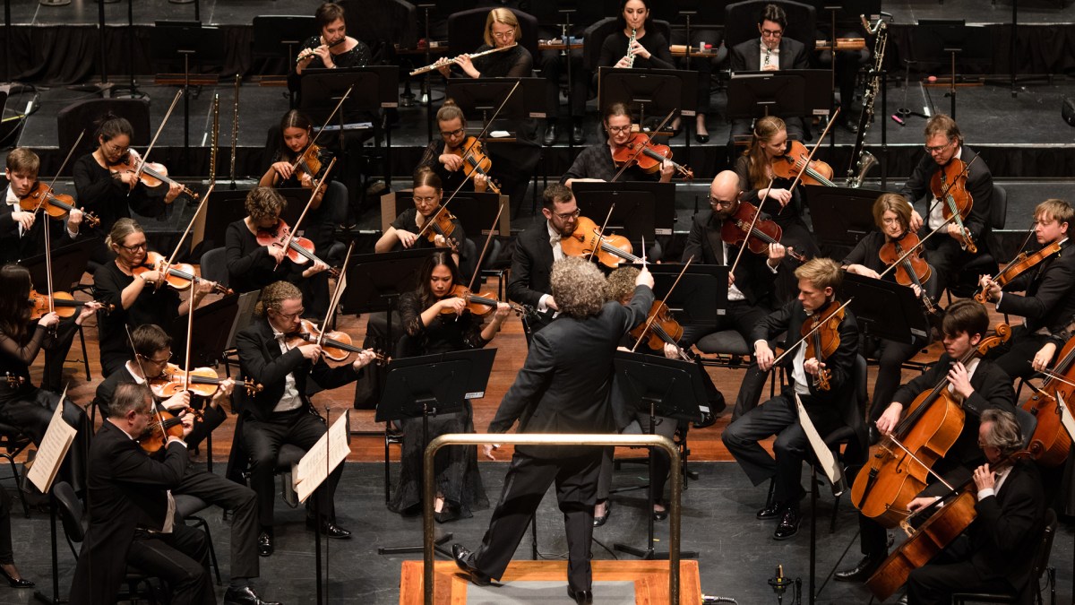 Members of West Australian Symphony Orchestra's string section play their instruments, with their conductor standing at a podium before them. WASO, regional tour