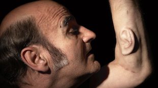 Stelarc, side on photo of the head and raised forearm of a balding man with long sideburns who has an ear growing out of his arm.