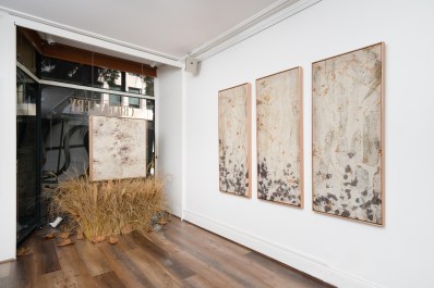 On the left against the gallery window is some dried grass installation. On the right on the walls are three panels of botanical artwork.