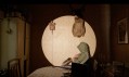 A figure in a domestic dining room holding a rifle with a round spotlighting shining on them. Free exhibitions in Tasmania.