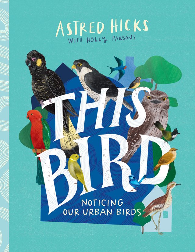 This Bird: Noticing Our Urban Birds, Holly Parsons. CSIRO Publishing. New books.