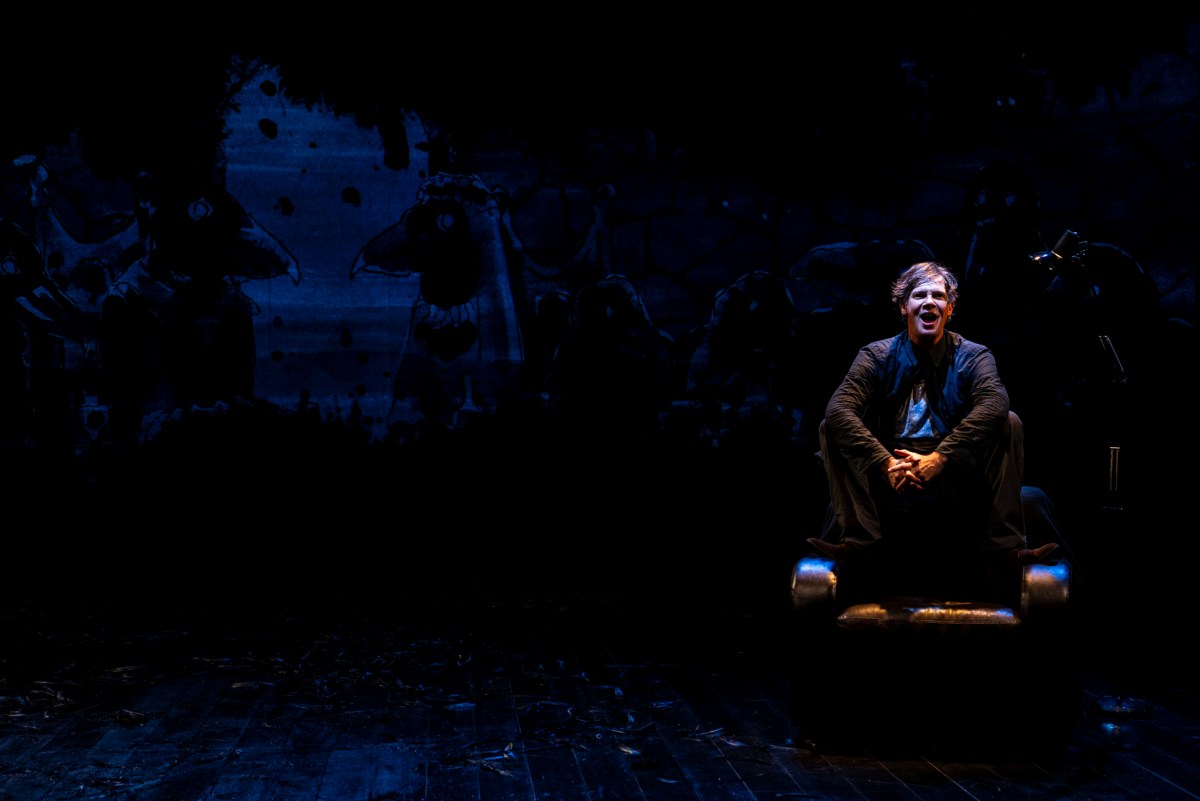 Grief is the Thing with Feathers. Image: Brett Boardman/ Belvoir St Theatre.