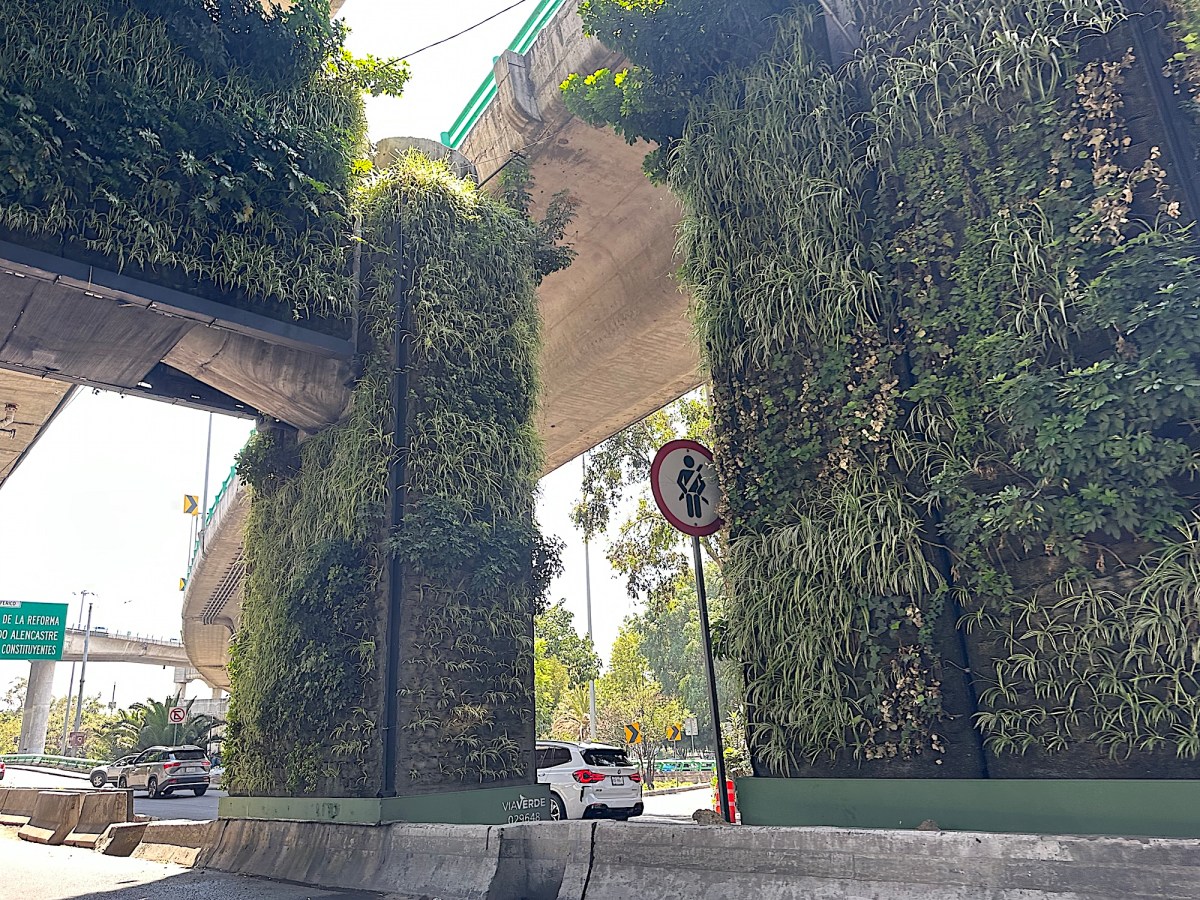Mexico City freeway with lots of plants